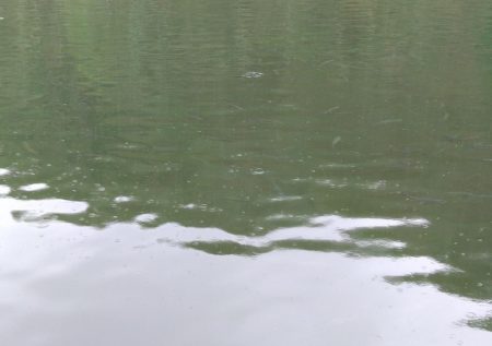 ルアー・フライで爆釣 ～平谷湖フィッシングスポット～